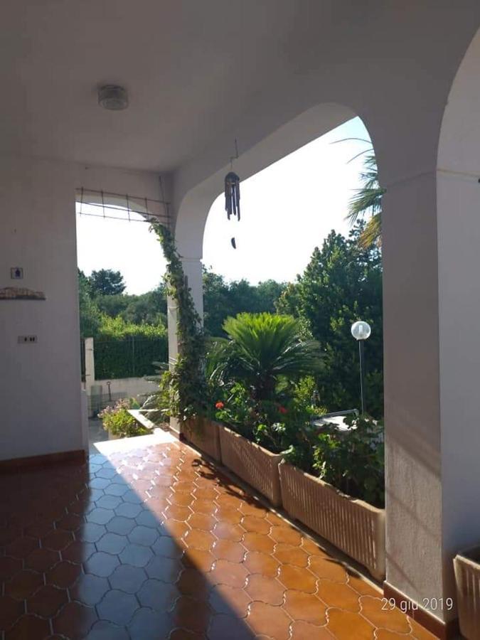 Bed and Breakfast La Ginestra Trani Zewnętrze zdjęcie