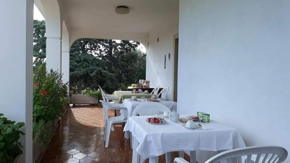 Bed and Breakfast La Ginestra Trani Zewnętrze zdjęcie