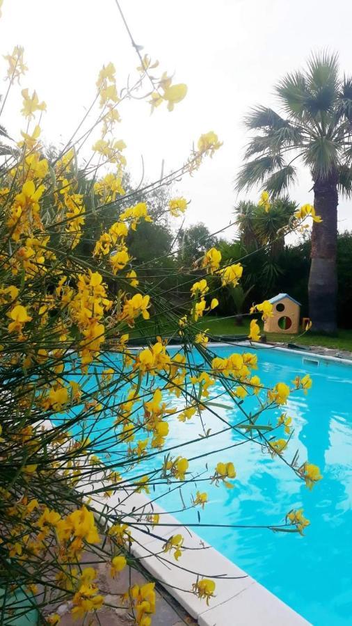 Bed and Breakfast La Ginestra Trani Zewnętrze zdjęcie
