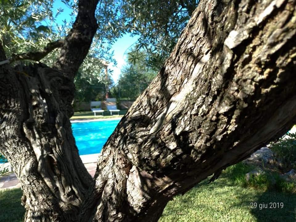 Bed and Breakfast La Ginestra Trani Zewnętrze zdjęcie